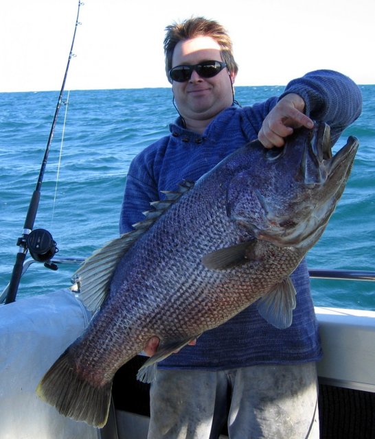 Mandurah dhu 10kg